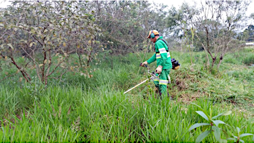 TECMAN Florestal